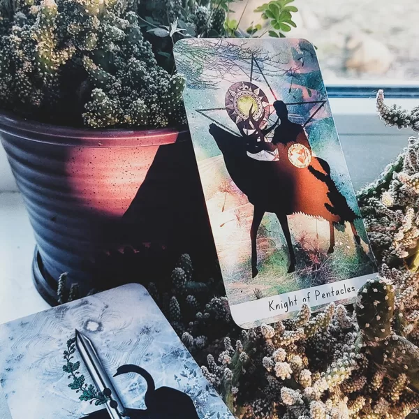 Knight Of Pentacles & Ace Of Swords Tarot Cards